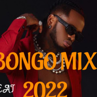 DJ Perez - Bongo Hadithi Mix 2022 rh radio by Haniel