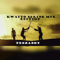 Tebzaboy - Kwaito Spring Mix Edition by TebzaboySA