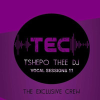 VOCAL SESSIONS 11 BY TSHEPO THEE DJ by The Exclusive Crew