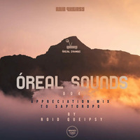 Oreal Sounds #004 (Dedication To Ssaptoropo) by Óreal Sounds