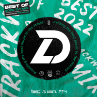 LittleDeng - TrackWolves Best Of 2022 DJ Mix by LittleDeng