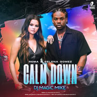 Calm Down (Remix) - DJ Magic Mike by AIDC