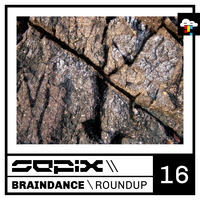 Braindance Roundup Sixteen by Sepix