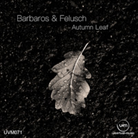 UVM071B - Bodo Felusch - Autumn Leaf (Barbaros Remix) by Unvirtual-Music