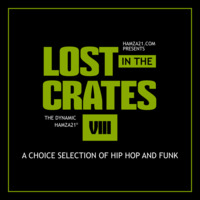 Lost In The Crates VIII by Hamza 21