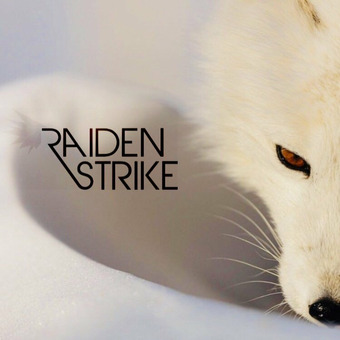 raiden strike