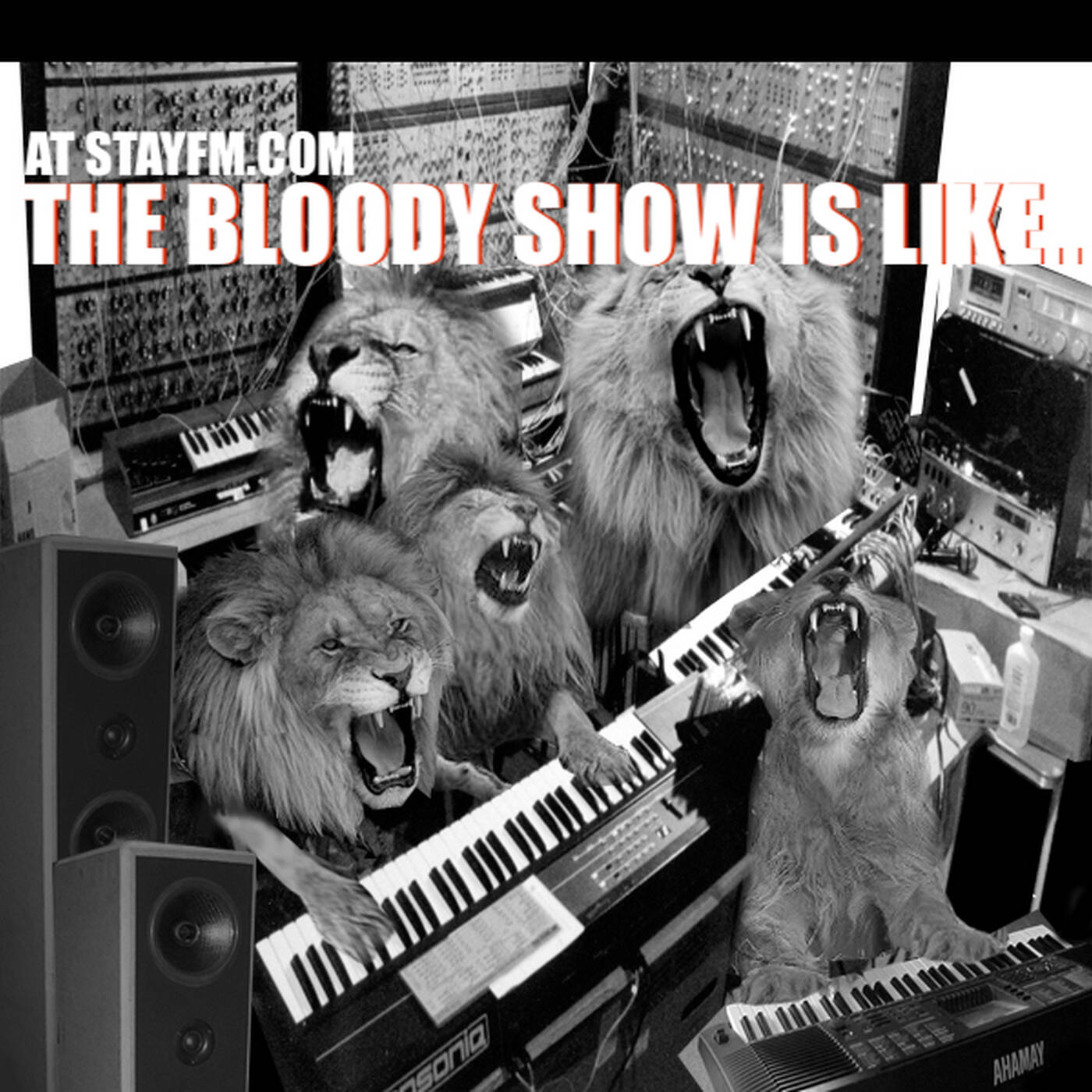 the bloody show 66 - dj bloody - 11.12.21 episode artwork