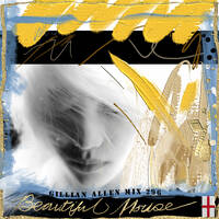 Beautiful House mix 296 by Gillian Allen