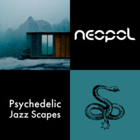 Neopol - Psychedelic Jazz Scapes by neopol