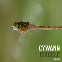 cywann - Isocele by cywann