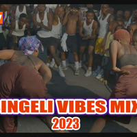 SINGELI VIBES MIX , SINGELI MPYA 2023 , VOL 06 BY DJ ROBAH (THE FINEST BOY) by DJ ROBAH 255