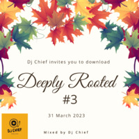 DJ CHIEF - DEEPLY ROOTED #3 by Dj Chief