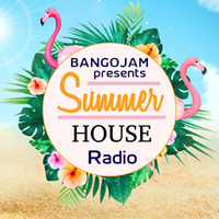 SUMMER HOUSE RADIO [70 Tracks InTheMix] by BangoJam