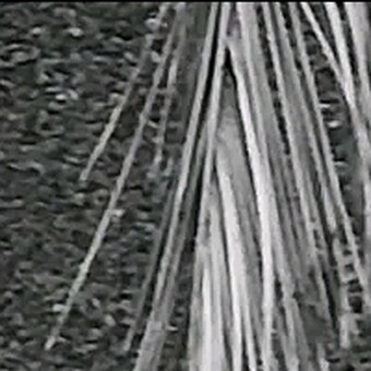 𝑬𝒙𝒄𝒍𝒖𝒔𝒊𝒗𝒆_𝑺𝒐𝒖𝒍𝒔_101