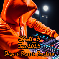 SPeedY_B - 2023-06 Drum &amp; Bass &amp; Breakcore by SPeedYB