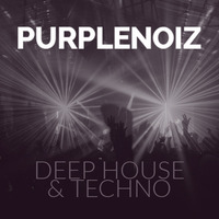 2021 Feb Deep House Techno Jaydee Paperclip People Marshall Jefferson Frankie Bones DJ Purplenoiz by Purplenoiz