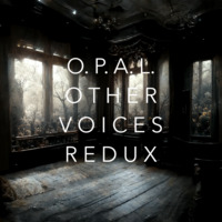 O.P.A.L. - Other Voices Redux Mix by Rojo y Negro Records