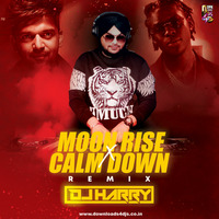 DJ Harry - Moon Rise Vs Calm Down - Remix by Downloads4Djs