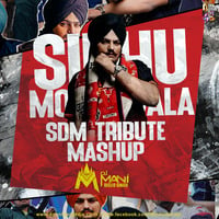 SDM Tribute Mashup - DJ Mani Disco Singh by Downloads4Djs