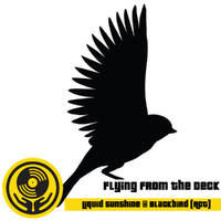 DJ Set - Liquid Moonshine @ Blackbird (ACT) - Part 1 of 3 - 27-11-2020 by Liquid Sunshine
