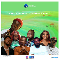 DJ Virgin K - 9ja Conciliation Vibes vol. 1 Mixtape by Skatinimas Entertainment
