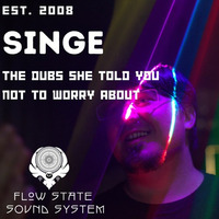 The Dubs She Told You Not To Worry About - Singe by Singe & The Flowstate Soundsystem