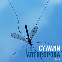 cywann - Arthropoda by cywann
