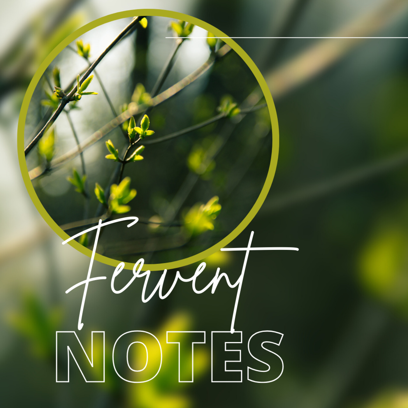 Fervent Notes Vol.8 Mixed By Fervent Soul