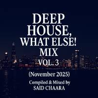 Deep House What Else! MIX VOL. 3 (November 2025) by Afro House Late Evening MIX