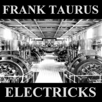 ELECTRICKS NO. 3 by Frank Taurus