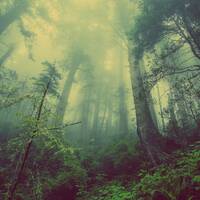 Numararea respiratiilor-practica by Stefan Pusca