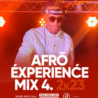 SDUMANE_Afro Experience Mix4 2k23 by Professory Sdumane Farkude