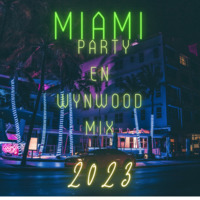 PARTY EN WYNWOOD MIX 2023 - @DJBOBBYMUSIC by Dj Bobby Music