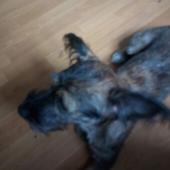 Krzysztof Strzelecki