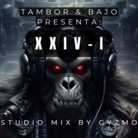 Tambor &amp; Bajo presenta: XXIV-I (Studio Dubstep mix by GyZmo) by Tambor & Bajo