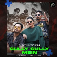 DJ Ravish Feat. Friq - Gully Gully Mein by DJ Ravish & DJ Chico