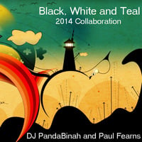 Black,white and teal -  Dj pandaBinah and Paul Fearns by PAUL FEARNS