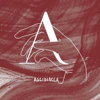 Les Chineurs : Musiques électroniques, playlists, et les relations aux temps et à l'histoire d'une communauté digitale by Collectif Ascidiacea