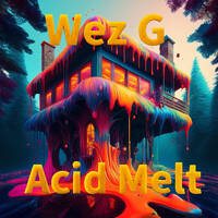 Wez G - Acid Melt by Wez G