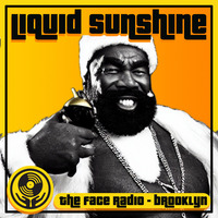 Christmas Funk, Soul &amp; HipHop - Liquid Sunshine @ The Face Radio - Show #179 by Liquid Sunshine Sound System