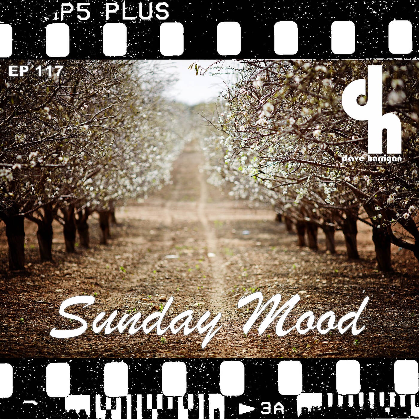 Sunday Mood 117 episode artwork