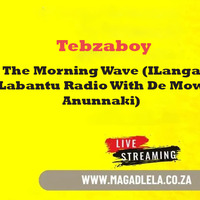 Tebzaboy - The Morning Wave (ILanga Labantu Radio With De Mow Anunnaki) by Tebzaboy