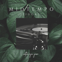 Midtempo DSM 029 - Sunday Dish by Tiggas