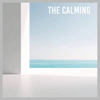 the calming: a chill out experience by Beat Tribe