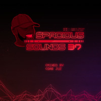 Spacious Sounds Podcast SHOW #37 by Gab Juz