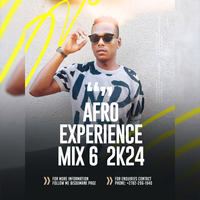 SDUMANE_Afro Experience Mix 6 2k24 by Professory Sdumane Farkude