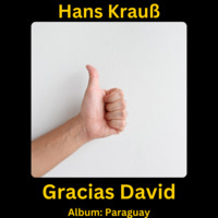 Gracias David by Hans Krauß