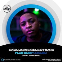 Exclusive Selections HR 1 - Pie Radio Guest Mix by DJ Malibu by DJ Malibu-SA