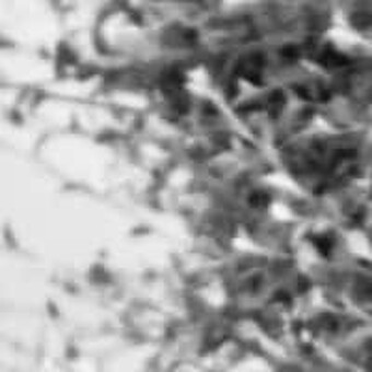 Torreno TheOffstreet