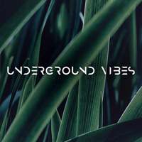 Knaiz - Underground Vibes #367 (2024.08.04) by Underground Vibes